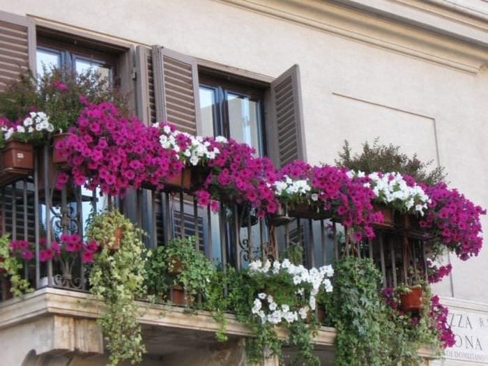 балкона цветами