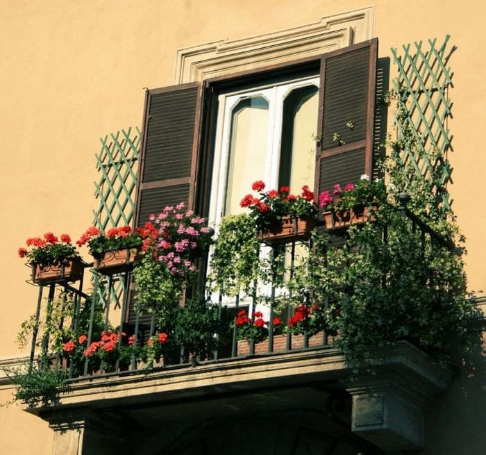 Цветы балконе