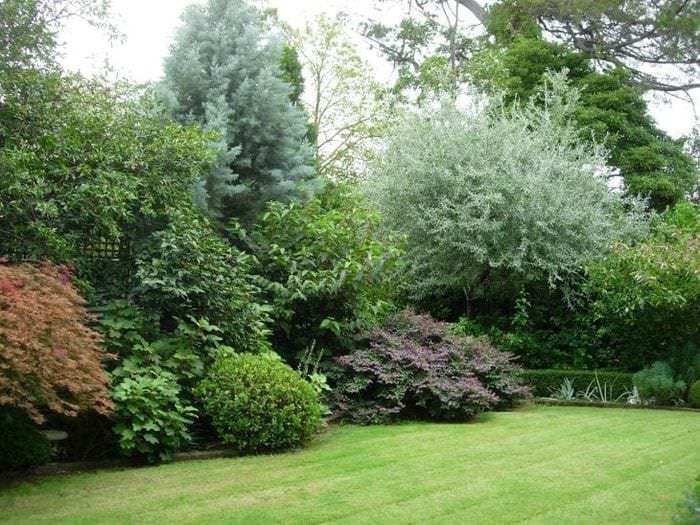 Английский сад фото ландшафтный дизайн - BookCooks